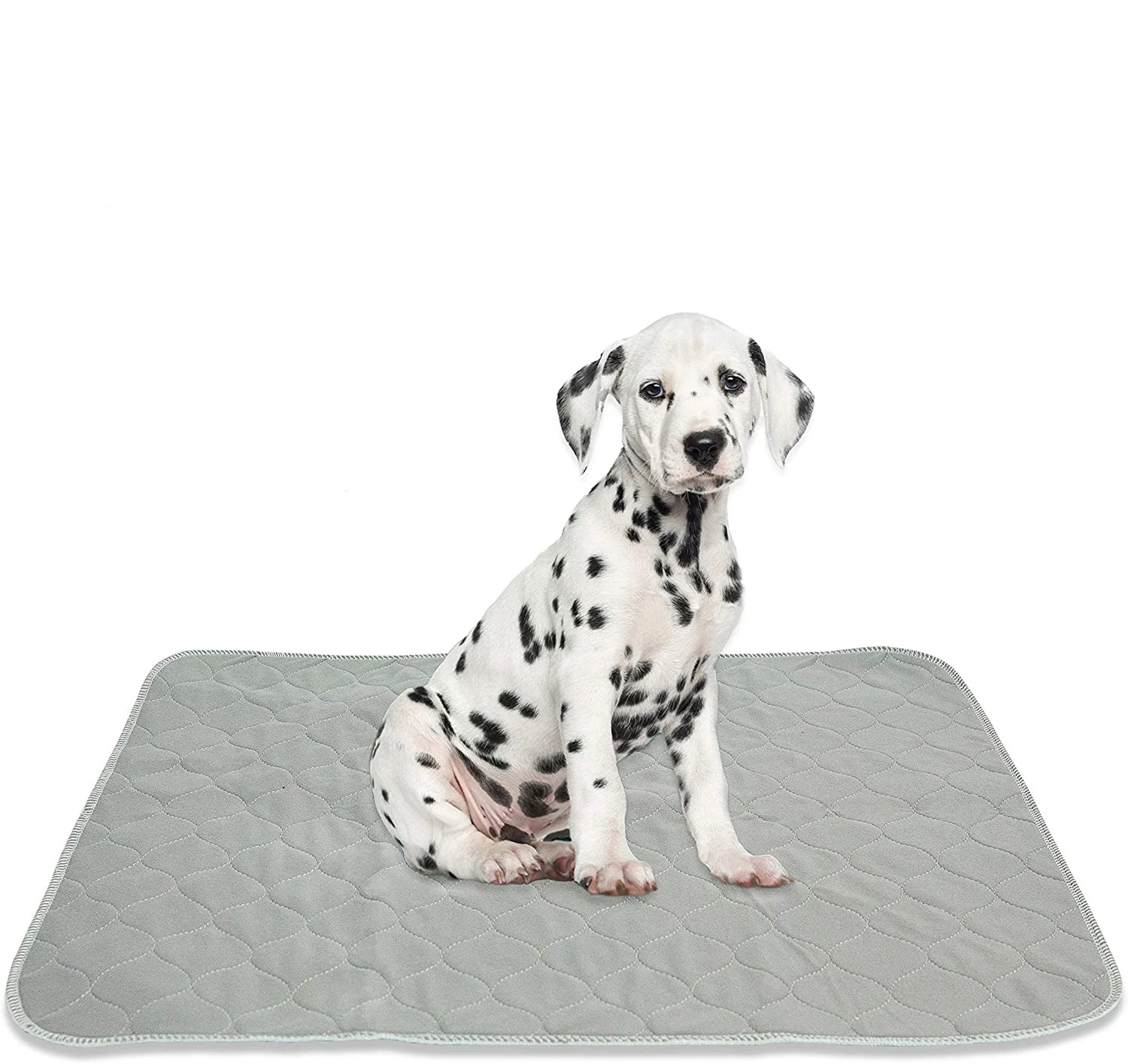 Circular Shape Washable Waterproof Dog Pee Mat Washable Puppy Training Diaper Pads Reusable Potty Dog Urine Pad Pet Toilet Mat