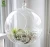 Import Clear glass vase hanging plant terrarium with black metal stand for air plants succelent from China