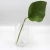 Import Clear tabletop PET plastic flower vase for home decor from China