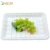 Compostable Disposable Tableware Bagasse Sugar Cane Tray for Meat