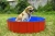 Import Cool Summer Funny Water Game PVC Inflatable Pet Dog Swimming Pool from China