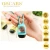 Import Customized Water Free Basic Cleaning Hand Gel Sanitizer/Hand wash from China