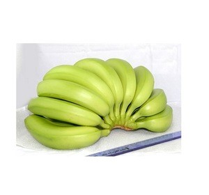 Delicious  Fresh Cavendish banana for sell