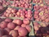 Delicious fruit chinese red fuji apple exporter in china