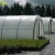 Import discount price Greenhouse Film for vegetables from China