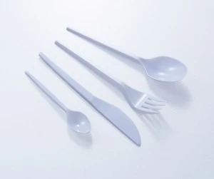 disposable plastic spoon and fork