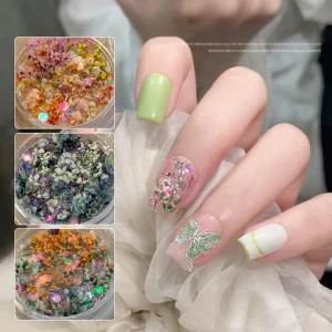 DIY Pressed dry flower stickers Flower Nail Decoration Mixed Dried Flower Fragmented Ornaments