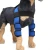 Import Dog Pet 2 PCS Front Leg Surgical Knee Pads Dog Elbow Protector Help with Injuries Sprains from China