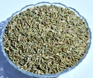 Dried Fennel Seeds Crop 2019 High Quality