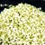 Import Dried organic Indian Jasmine Flower from Coimbatore from India