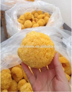 Dried white fungus in natural color for sale