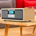 Dual microphone KTV speaker high quality speakers audio system sound wood home speaker
