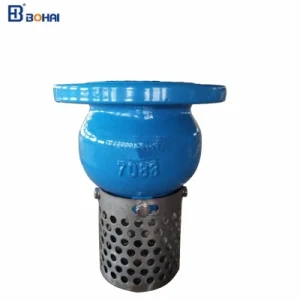 Ductile Iron Flanged Foot Valve and Bottom Valve