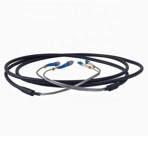 Buy Duplex Armored Fiber Optic Patch Cable Single Mode Fiber Optic ...