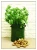 Import Easy Carrying PE Garden Potato Grow Bag from China