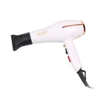 ENZO Promotional Custom Hair Dryer Motor AC Motor Hair Dryer Blower Hair Processor And Dryer