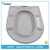 Import European standard customized color and size D shape toilet seat from China