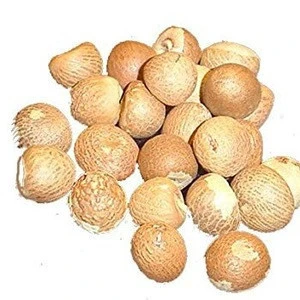Excellent Quality Dried Betel Nuts for Sale