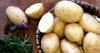 Export Oriented 100% Fresh Custom Potato Manufacturer