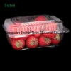 factory designed plastic blister fruit &amp; vegetable packing trays