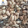Factory Direct Cheap Spicy Peanuts Mixed With Dried Clovefish