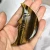 Import Factory direct sales Natural hand carved  yellow  tiger eye stone moon gemstone tiger eye quartz moon for crafts  decorate from China