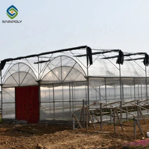 Farm greenhouse farm in multi-span greenhouses plastic green house with irrigation&hydroponics equipment