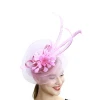 Fascinators Hats Headwear with special quill for Women