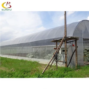 Foshan Kunyu low cost Agriculture plastic film tunnel poly greenhouse