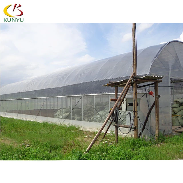 Foshan Kunyu low cost Agriculture plastic film tunnel poly greenhouse