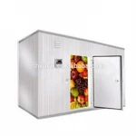 freezer freezer room cold room with bitzer compressor condensing unit in pakistan project
