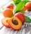 Import Fresh Apricot Fruits/Fresh Fruits! from India