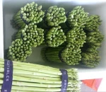 Fresh Asparagus