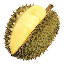 Fresh Durian from Thailand Premium Grade