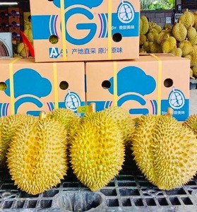 Fresh Durian Premium