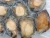 Import fresh frozen abalone meat shellfish from China