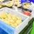 Import Fresh Frozen Durian Fruit Stick Ice cream 5000 Prices from Thailand
