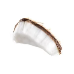 Fresh Mature coconut