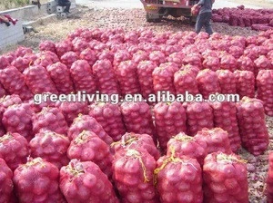 fresh Onion suppliers in china