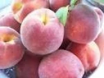 Fresh Peach & Nactarine