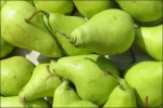 Fresh Pear