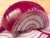 Import Fresh Red Big Onion For Sale from India