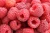 Import Frozen Raspberries I fresh Raspberries I Raspberries organic from Peru