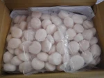 Frozen sea scallop meat
