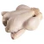 Import Frozen Whole Chicken from Philippines