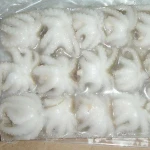 FROZEN WHOLE OCTOPUS FOR SALE NOW
