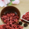 fruit product goji berries chinese wolfberry extract