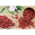 Import fruit product goji berries chinese wolfberry extract from China