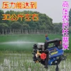 FY Portable 12V sprayer agricultural electric fruit tree sprayer, High pressure double cylinder plunger pump