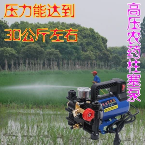 FY Portable 12V sprayer agricultural electric fruit tree sprayer, High pressure double cylinder plunger pump